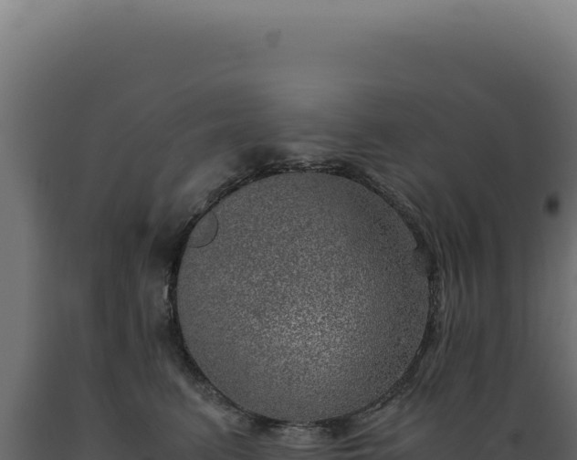 X0000089970615200707061202