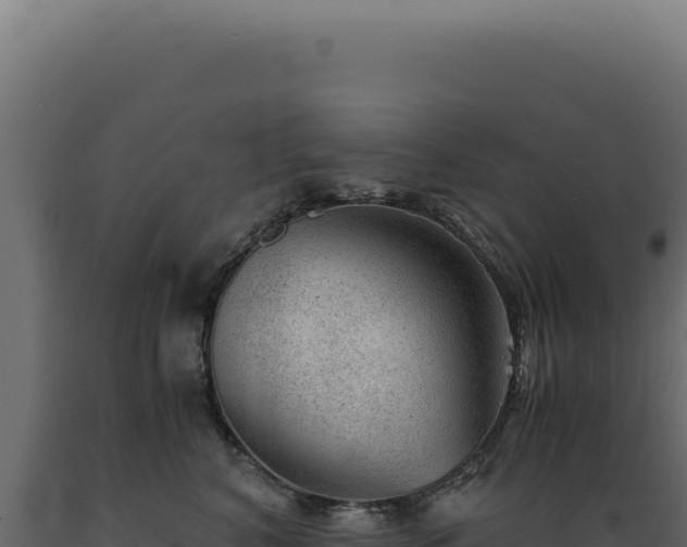 X0000089970616200707061202