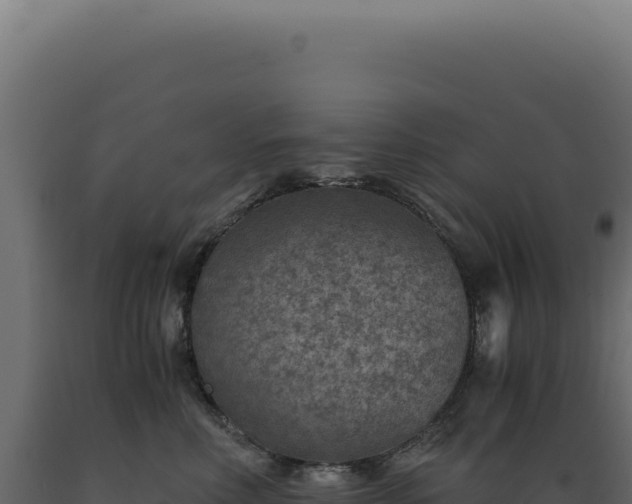 X0000089970618200707061202