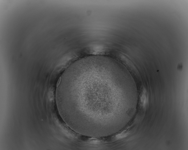 X0000089970620200707061202