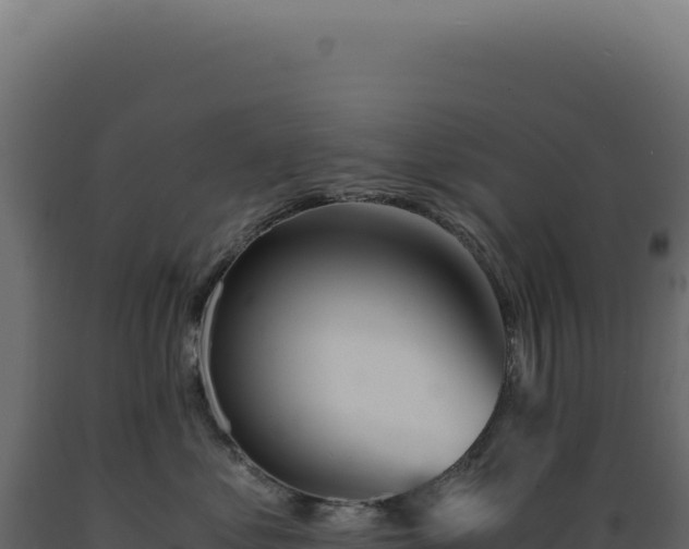 X0000089970621200707061202
