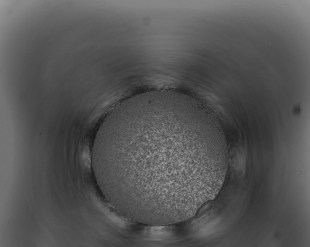 X0000089970622200707061202