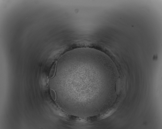 X0000089970624200707061202