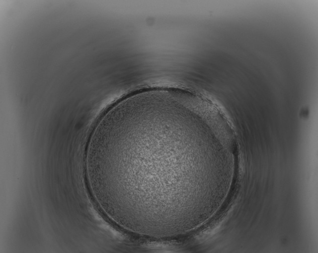 X0000089970625200707061201