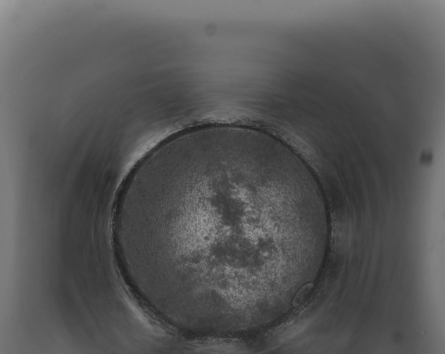 X0000089970626200707061201