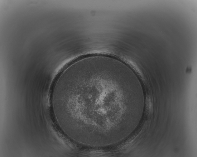 X0000089970628200707061201