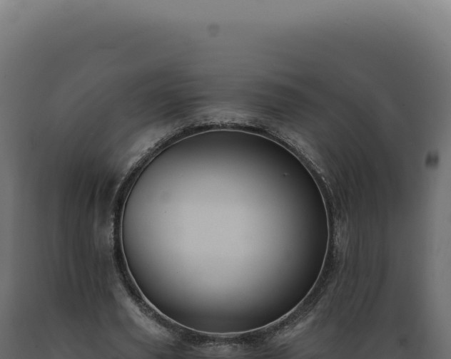 X0000089970629200707061201