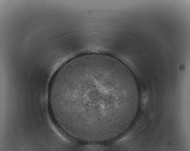 X0000089970630200707061201