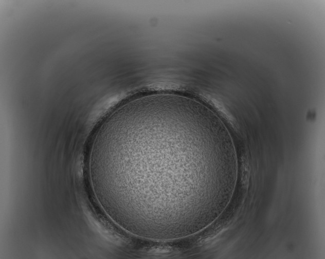X0000089970631200707061201