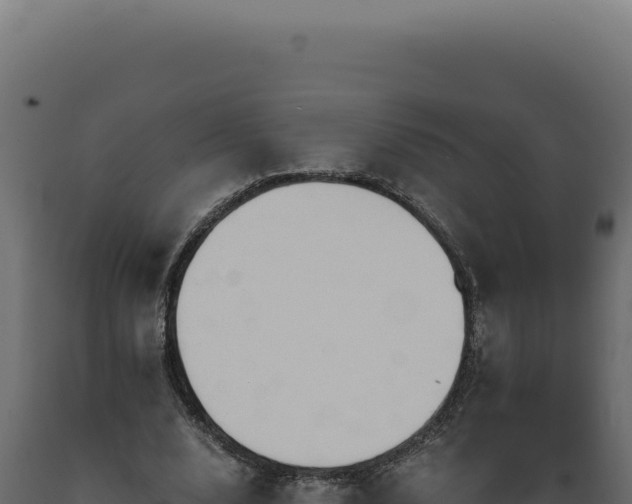X0000089970632200707061201