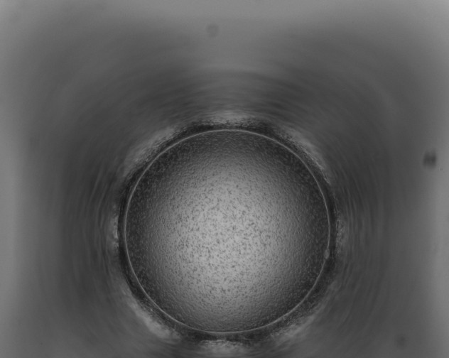 X0000089970633200707061201