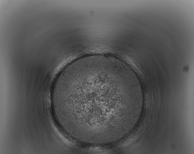 X0000089970634200707061201