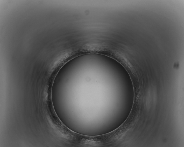 X0000089970635200707061201