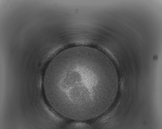 X0000089970637200707061201
