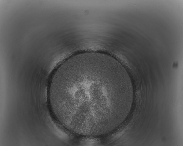 X0000089970638200707061201