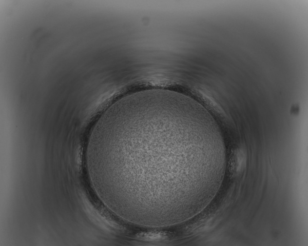 X0000089970639200707061201