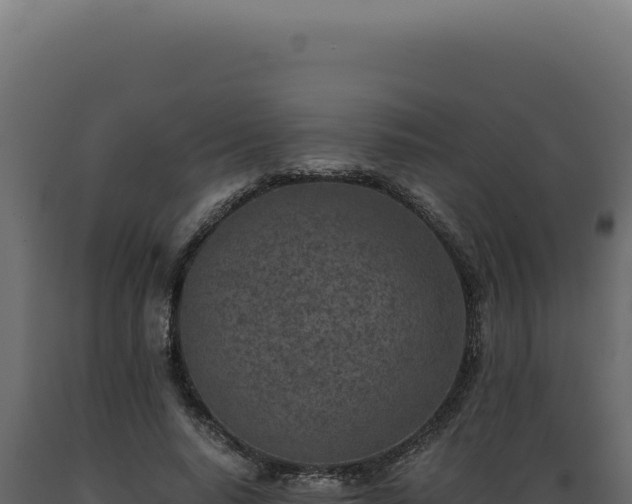 X0000089970640200707061201