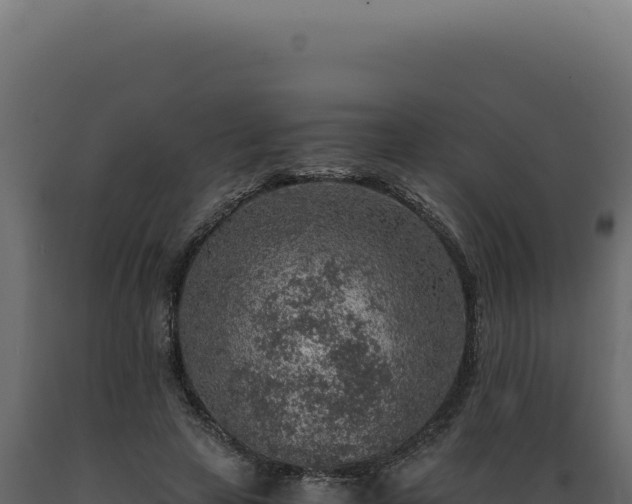 X0000089970641200707061201