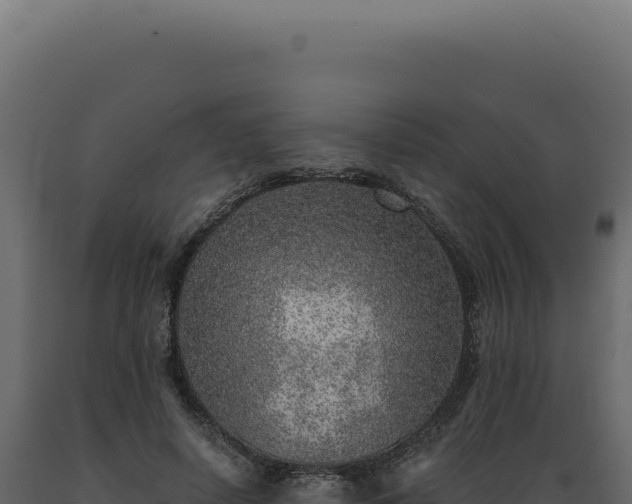 X0000089970642200707061201