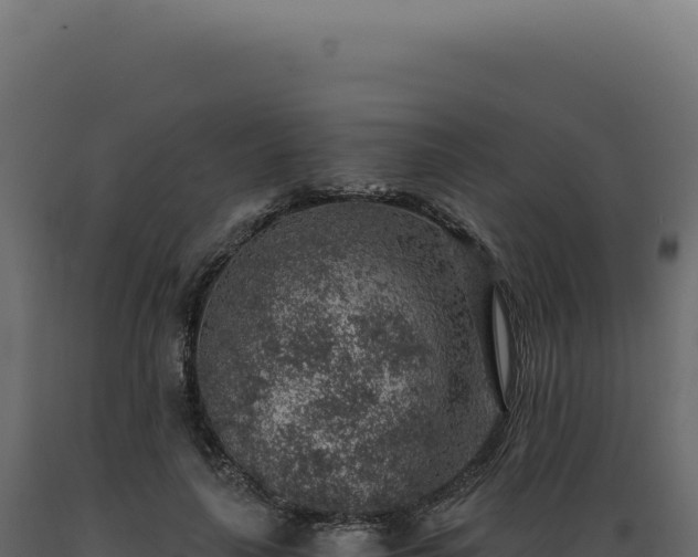X0000089970643200707061201