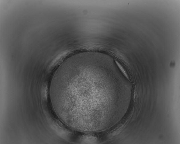 X0000089970644200707061201