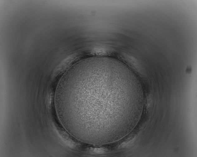 X0000089970645200707061201