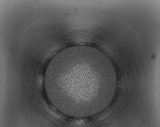 X0000089970646200707061201