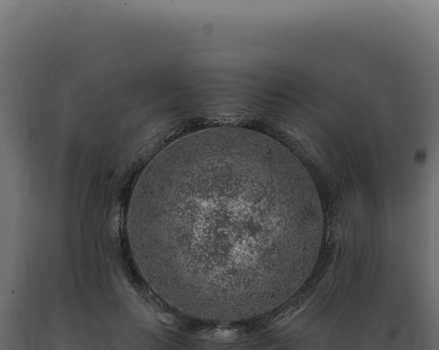 X0000089970647200707061201