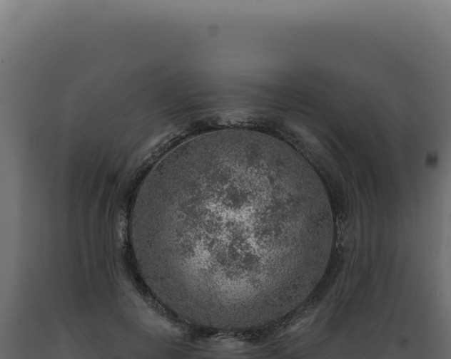 X0000089970648200707061201