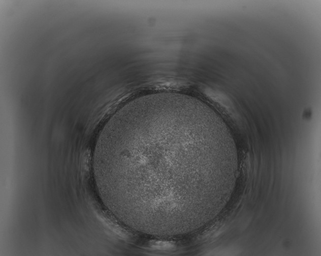 X0000089970649200707061201