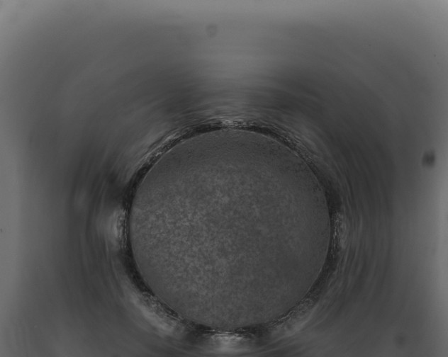 X0000089970650200707061201