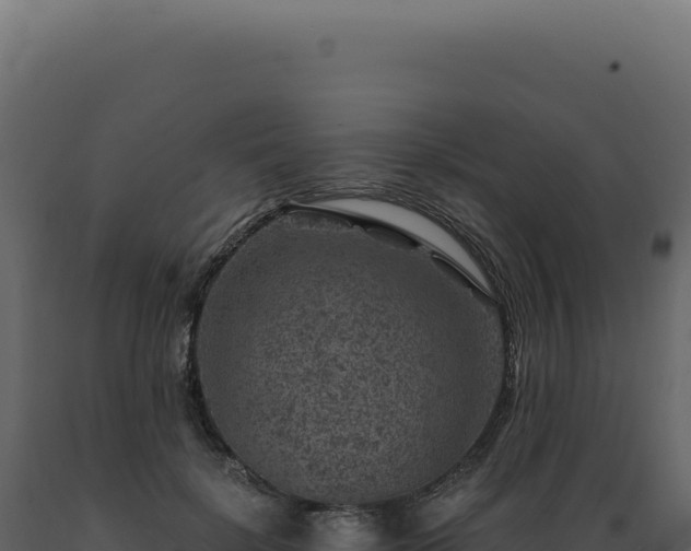 X0000089970652200707061201