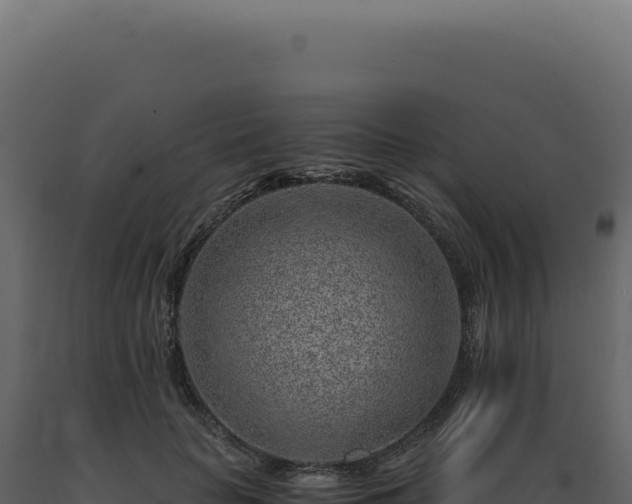 X0000089970653200707061201