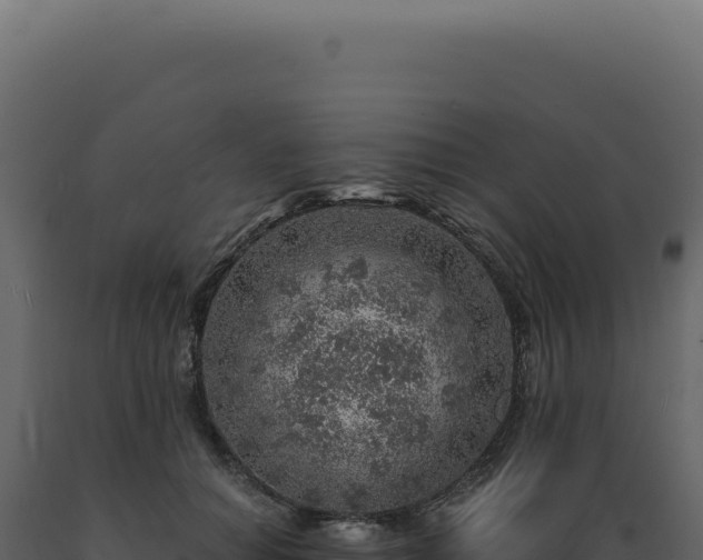 X0000089970654200707061201