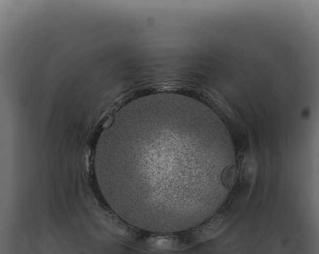 X0000089970655200707061201