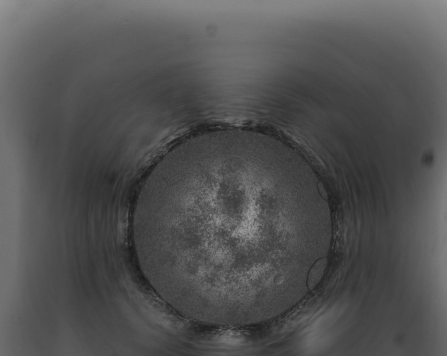 X0000089970656200707061201