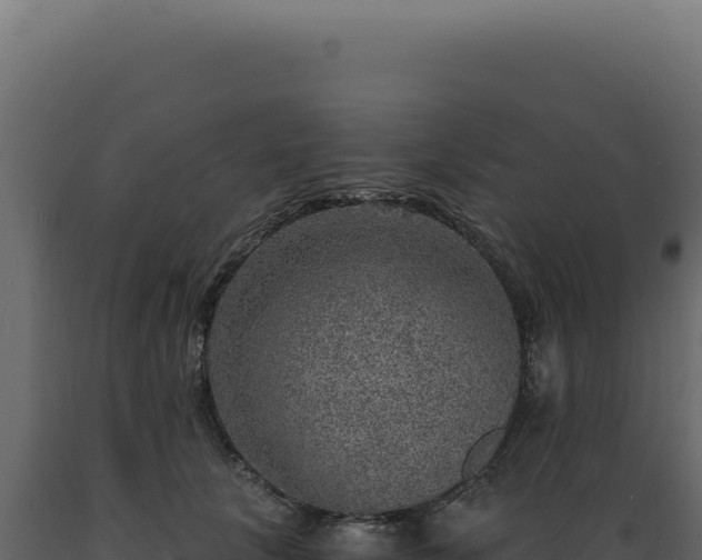 X0000089970657200707061202