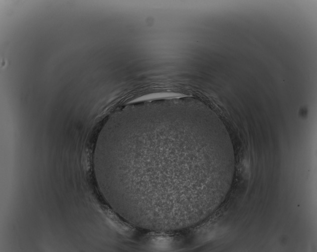X0000089970658200707061202