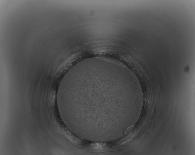 X0000089970660200707061202