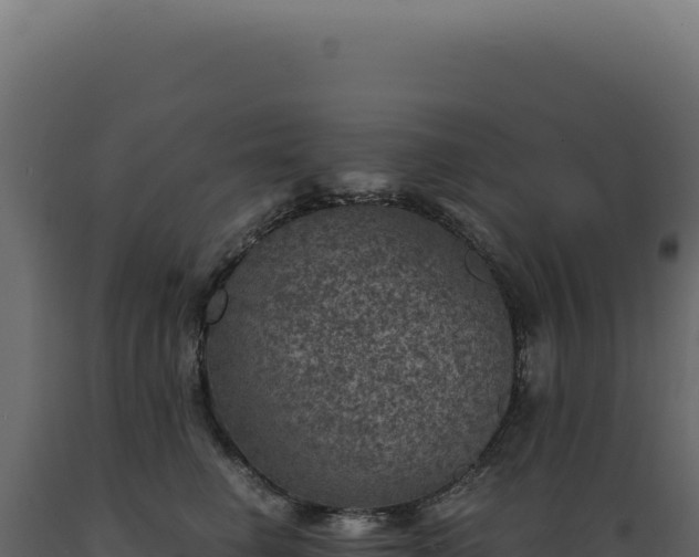 X0000089970662200707061202