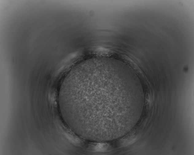 X0000089970663200707061202