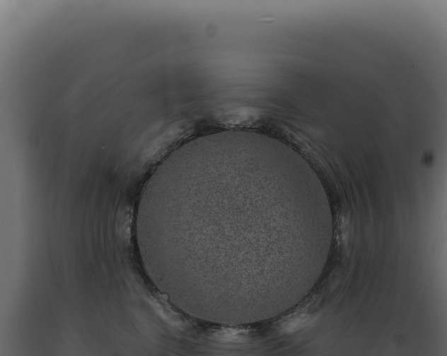 X0000089970664200707061202