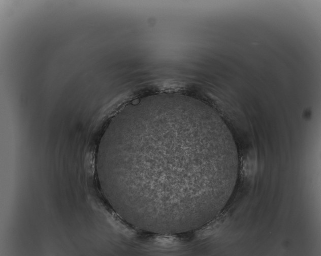 X0000089970666200707061202