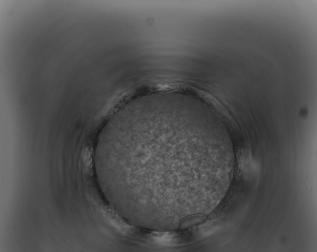 X0000089970667200707061202