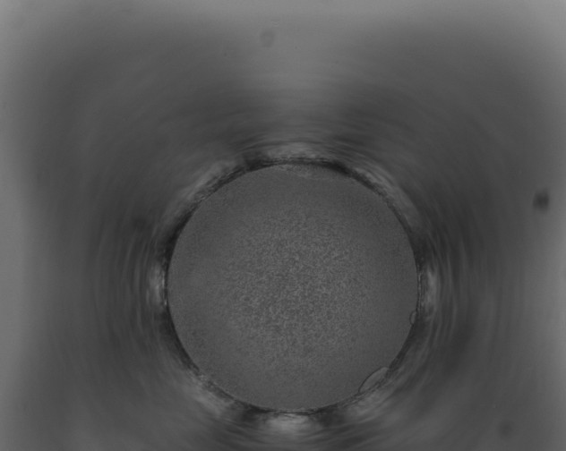 X0000089970669200707061202