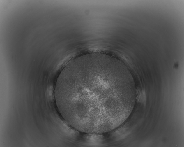 X0000089970670200707061202