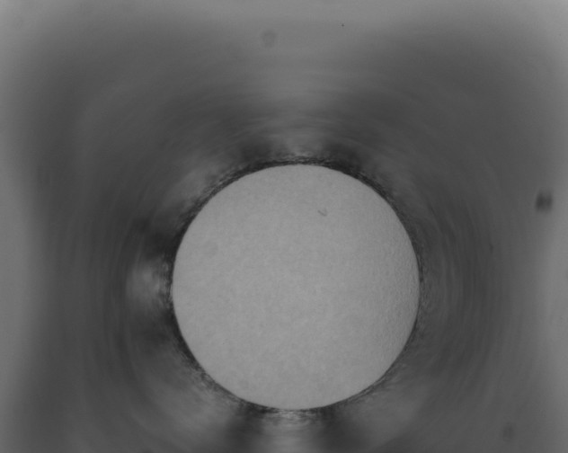 X0000089970672200707061202