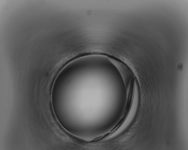 X0000089970673200707061201