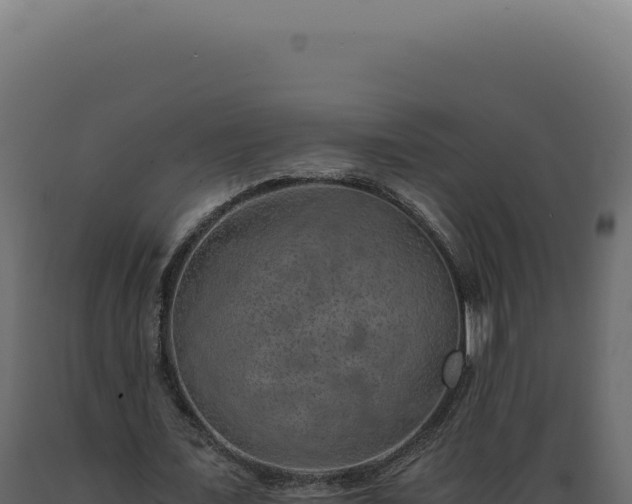 X0000089970675200707061201