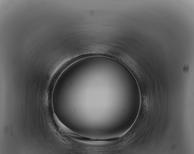 X0000089970676200707061201